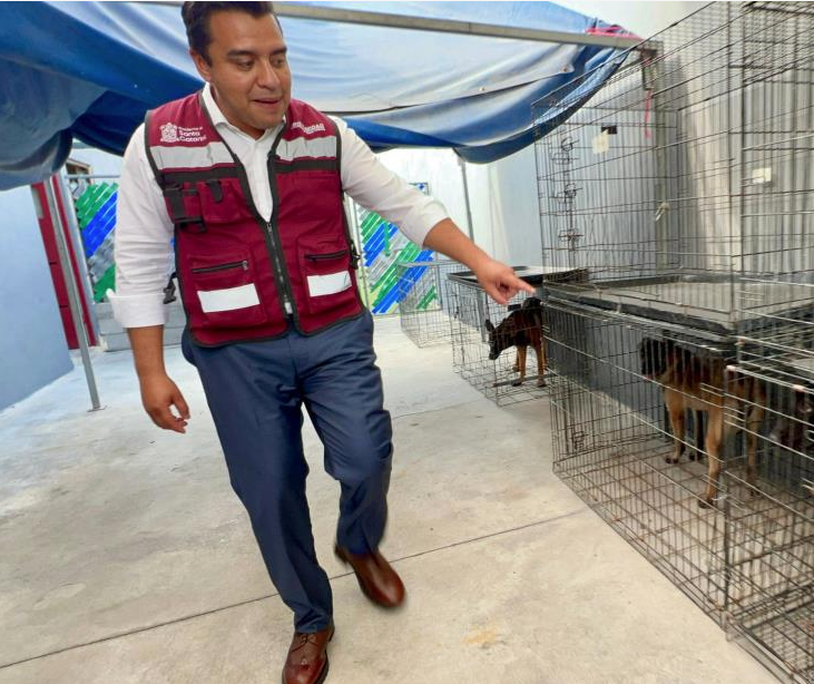 Propone Nava mano dura por el maltrato de animales