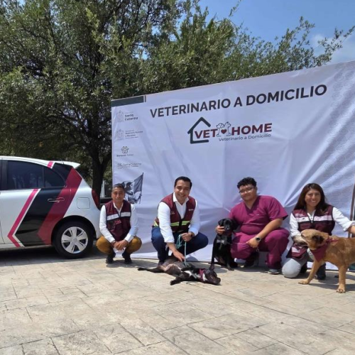 Anuncia SC el servicio gratuito de ´Veterinario a Domicilio´