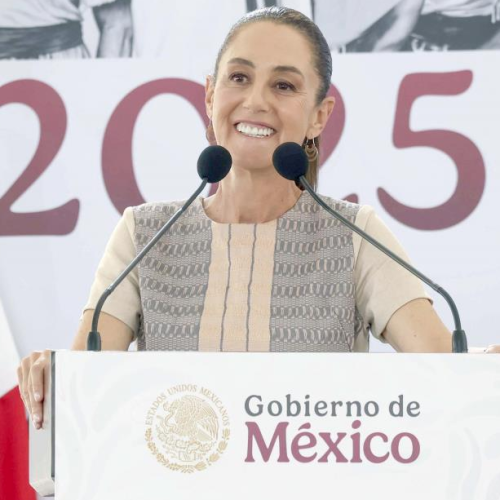 «La entrega de medicamentos es un proceso largo»