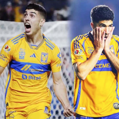 Fieras en casa…¿pero afuera?