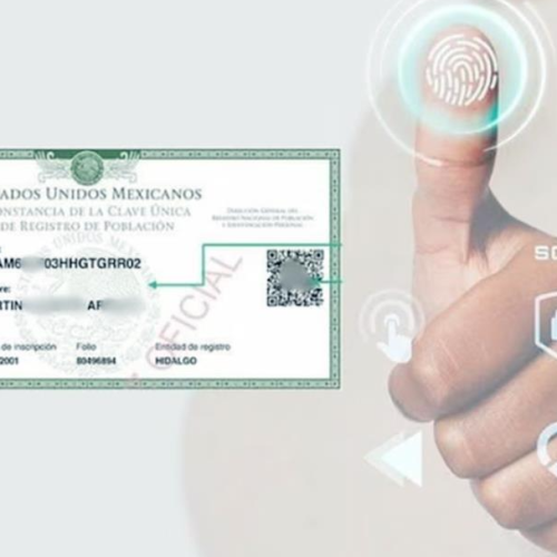 «Duplicará CURP biométrica funciones del INE»