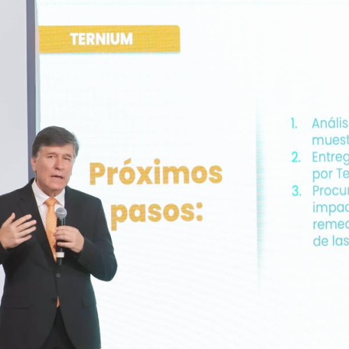 Va Estado por una sanción ejemplar para Ternium