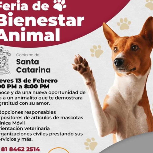 Arrecian en SC labores y acciones en pro del Bienestar Animal