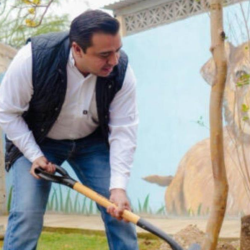 Impulsa Nava programa de arborización en SC