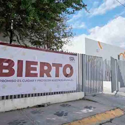 Resguarda centro de bienestar animal de SC a 33 animales