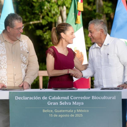 Crean la segunda reserva más grande de América
