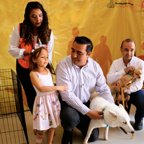 Brindan 4 mil servicios a mascotas de Santa Catarina